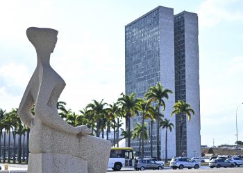 Entidades vão contestar no STF decisão do Congresso Nacional que dificulta aborto legal em crianças